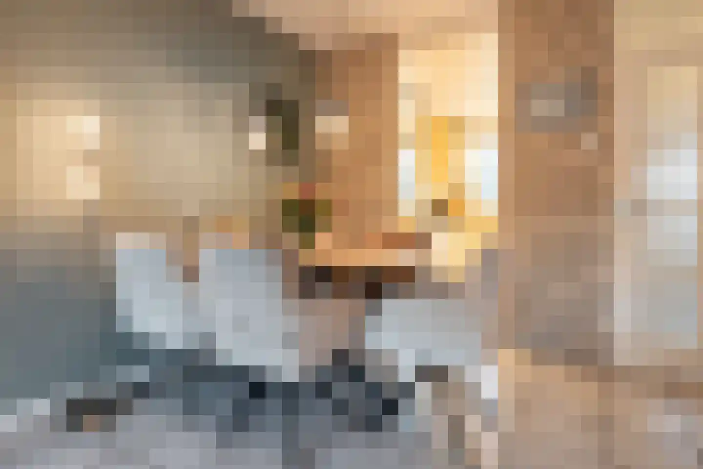 De Streep 54 Assendelft thumbnail 13