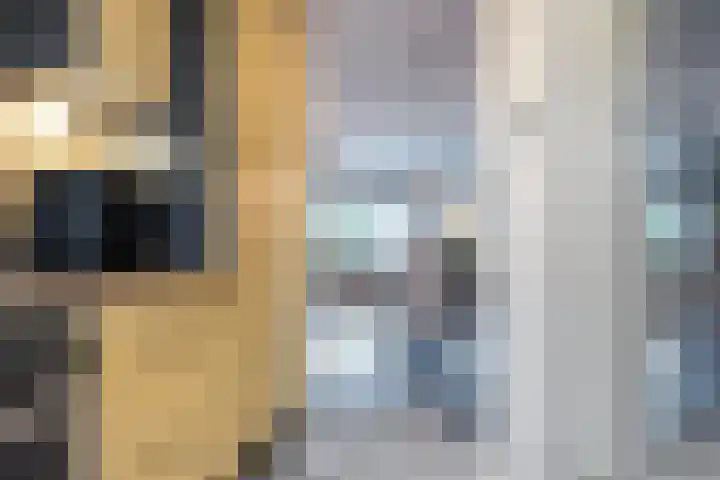 De Streep 54 Assendelft thumbnail 14