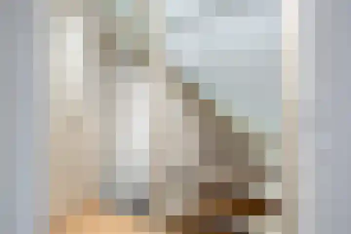 De Streep 54 Assendelft thumbnail 16