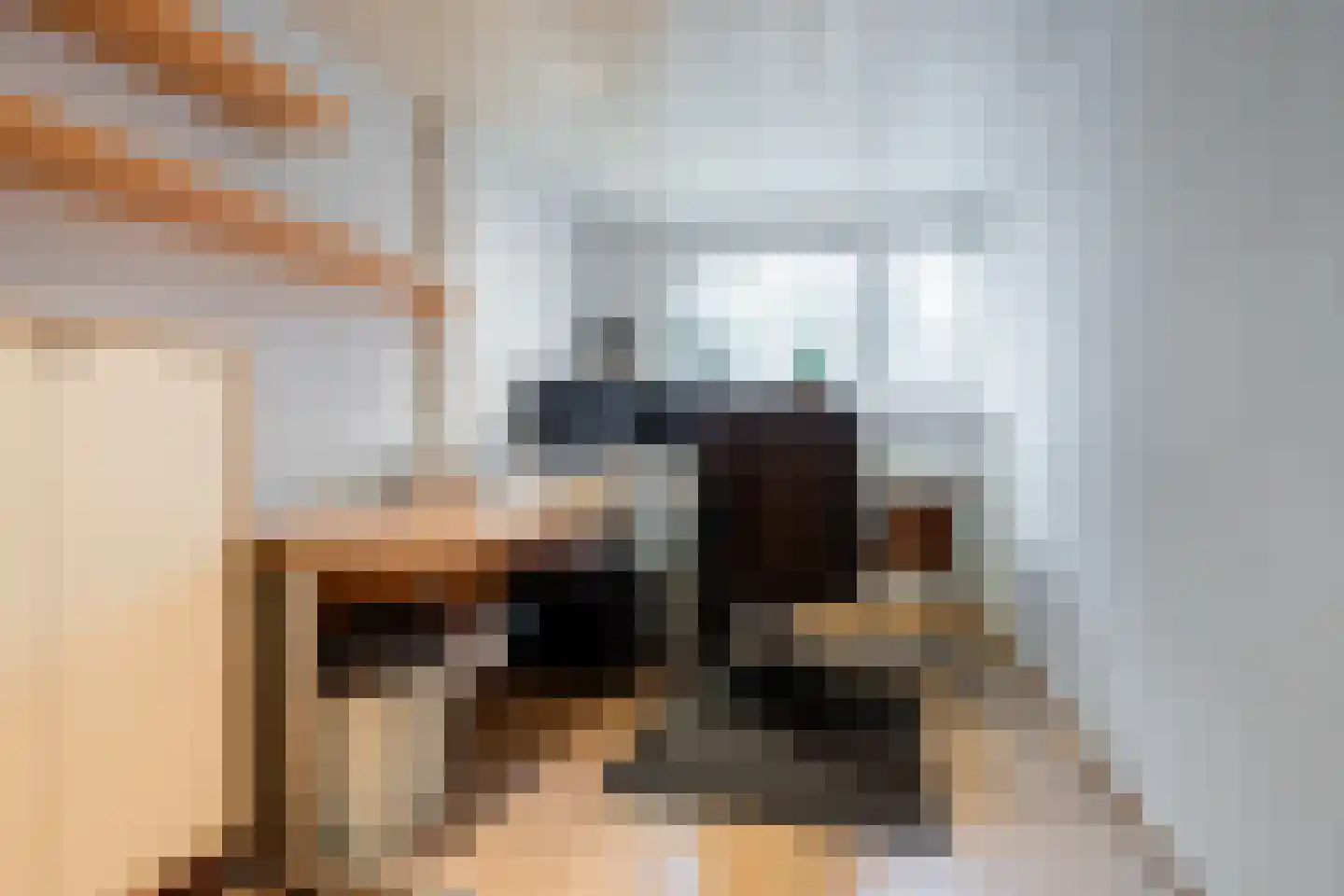 De Streep 54 Assendelft thumbnail 23