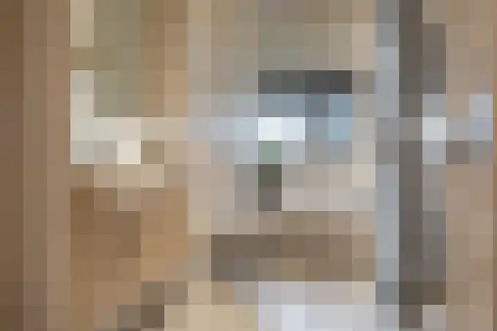 De Streep 54 Assendelft thumbnail 24