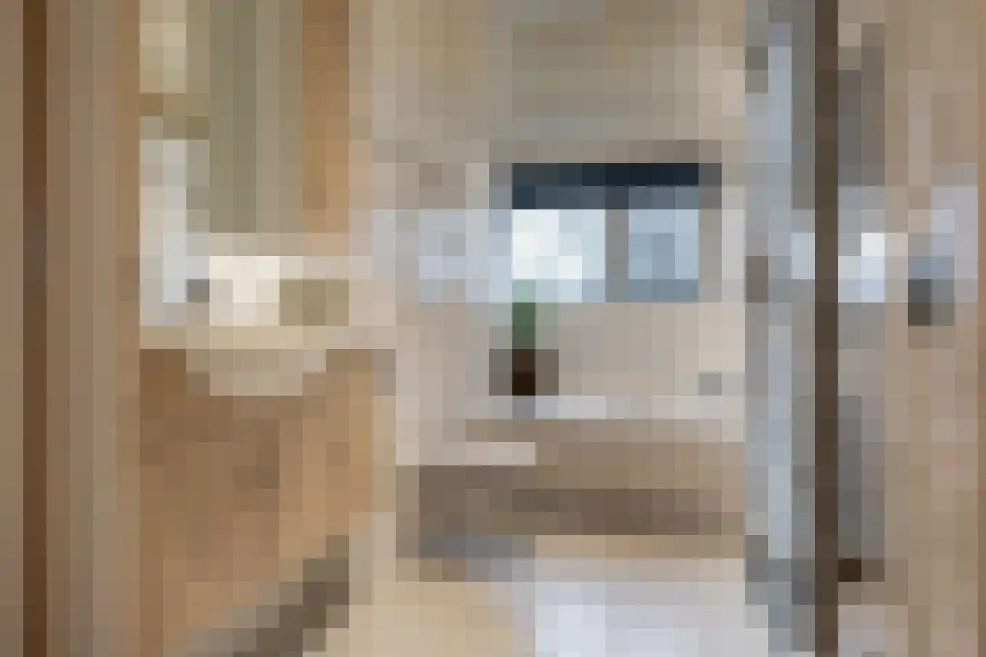 De Streep 54 Assendelft thumbnail 25
