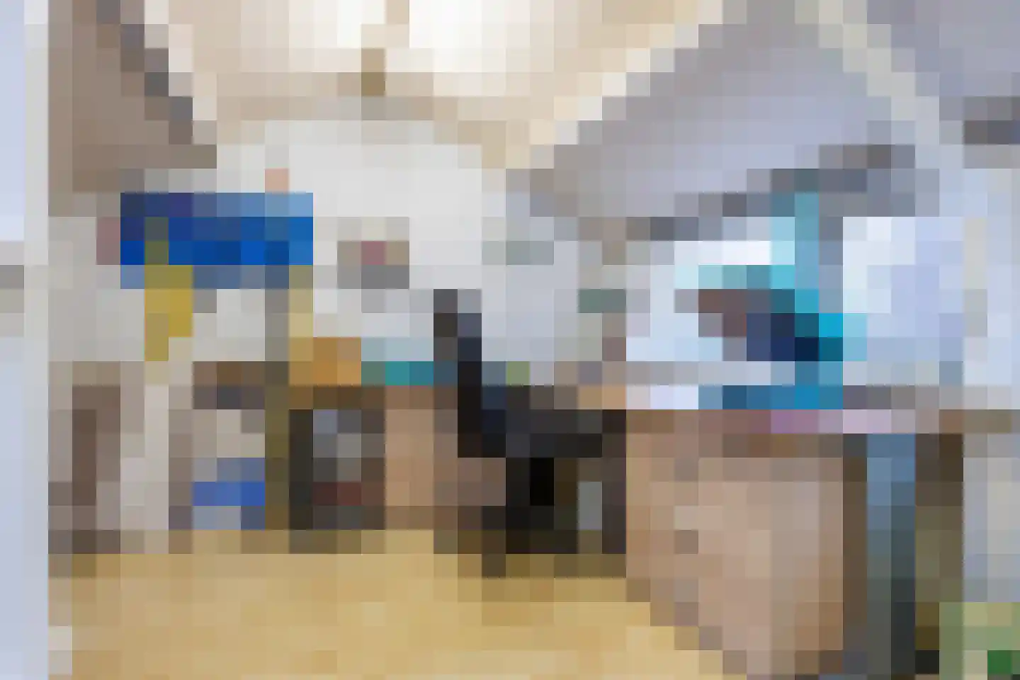 De Streep 54 Assendelft thumbnail 29