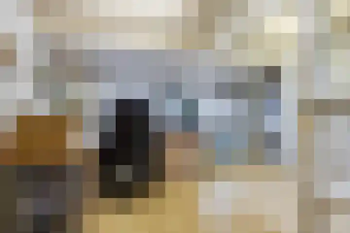 De Streep 54 Assendelft thumbnail 30