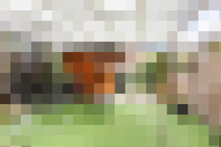 De Streep 54 Assendelft thumbnail 35