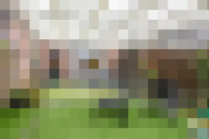 De Streep 54 Assendelft thumbnail 36