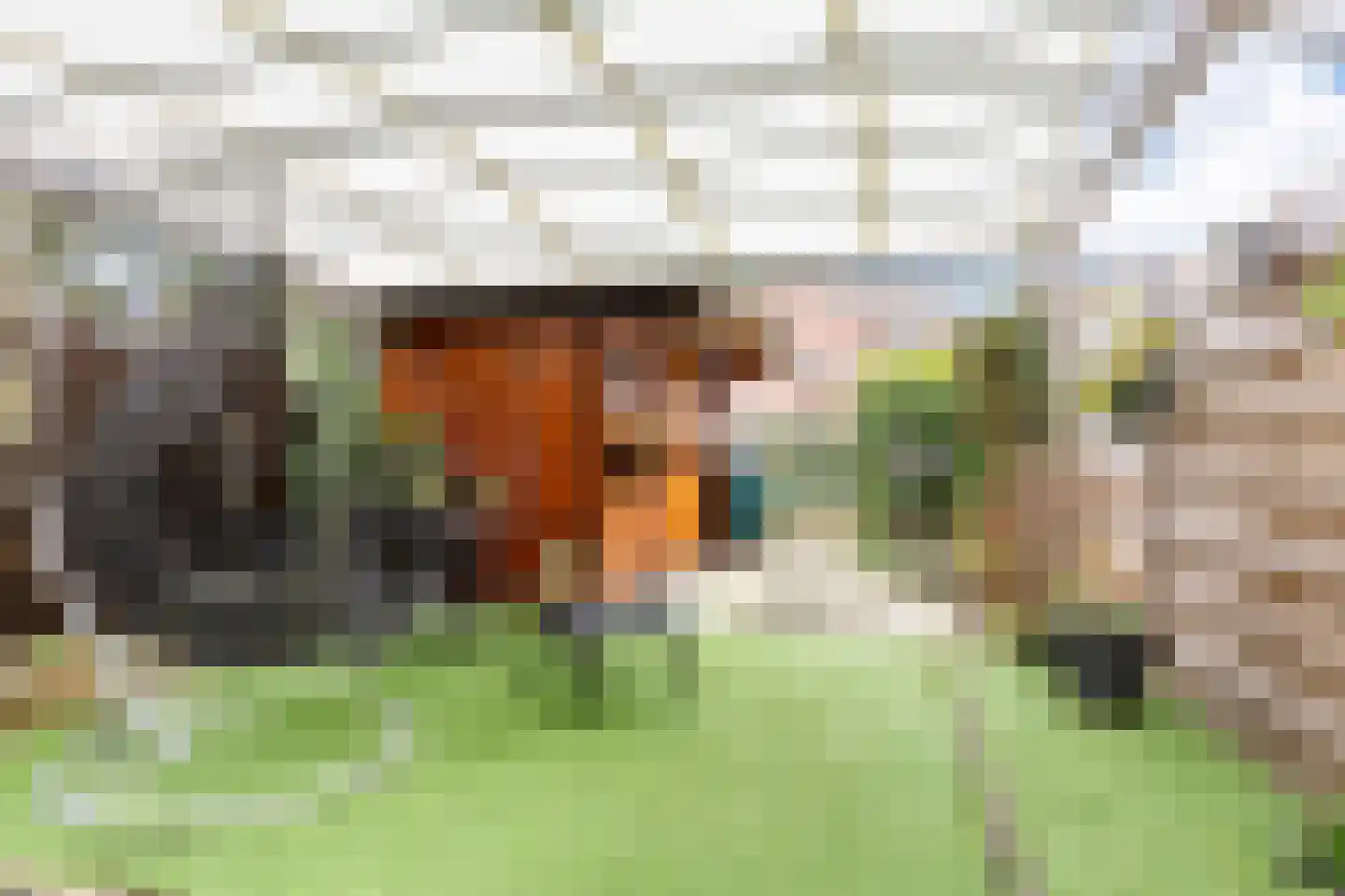De Streep 54 Assendelft thumbnail 36