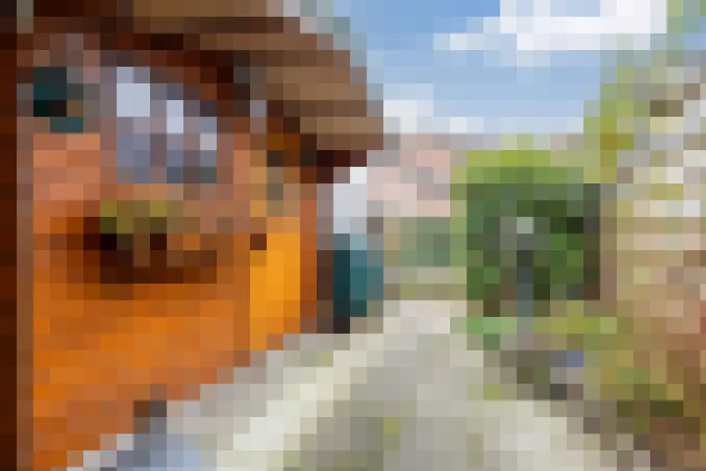 De Streep 54 Assendelft thumbnail 38