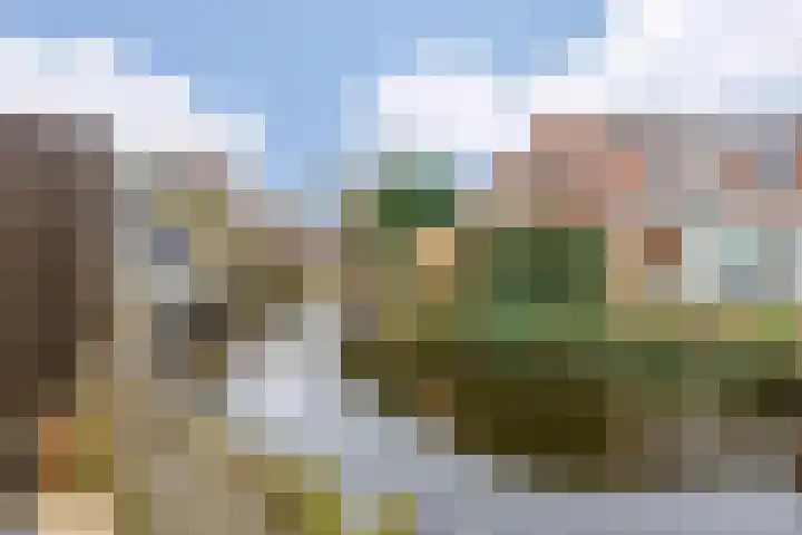 De Streep 54 Assendelft thumbnail 40