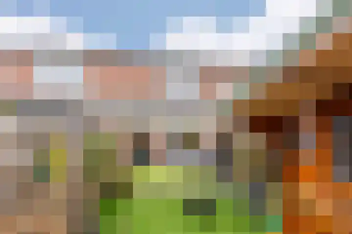 De Streep 54 Assendelft thumbnail 41