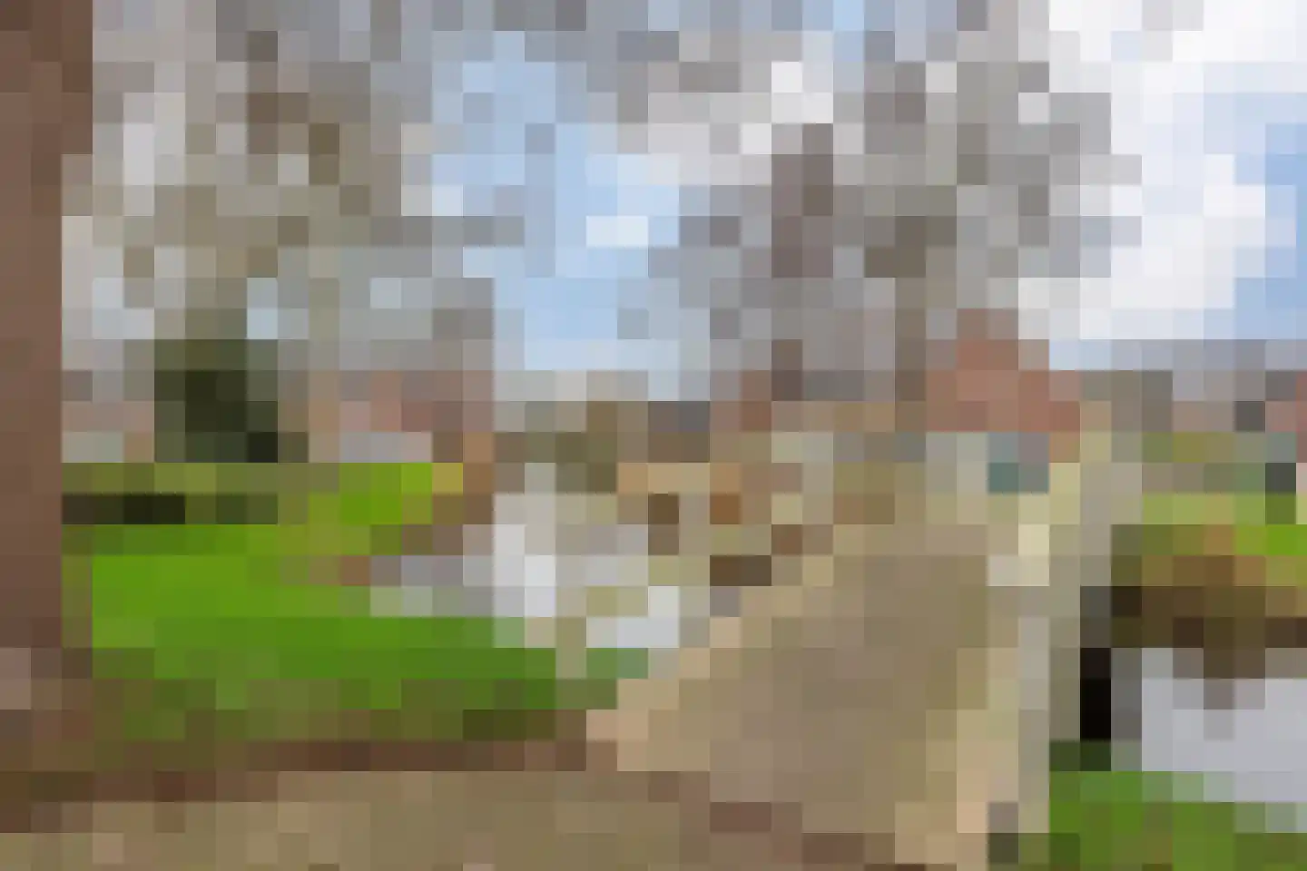 De Streep 54 Assendelft thumbnail 44