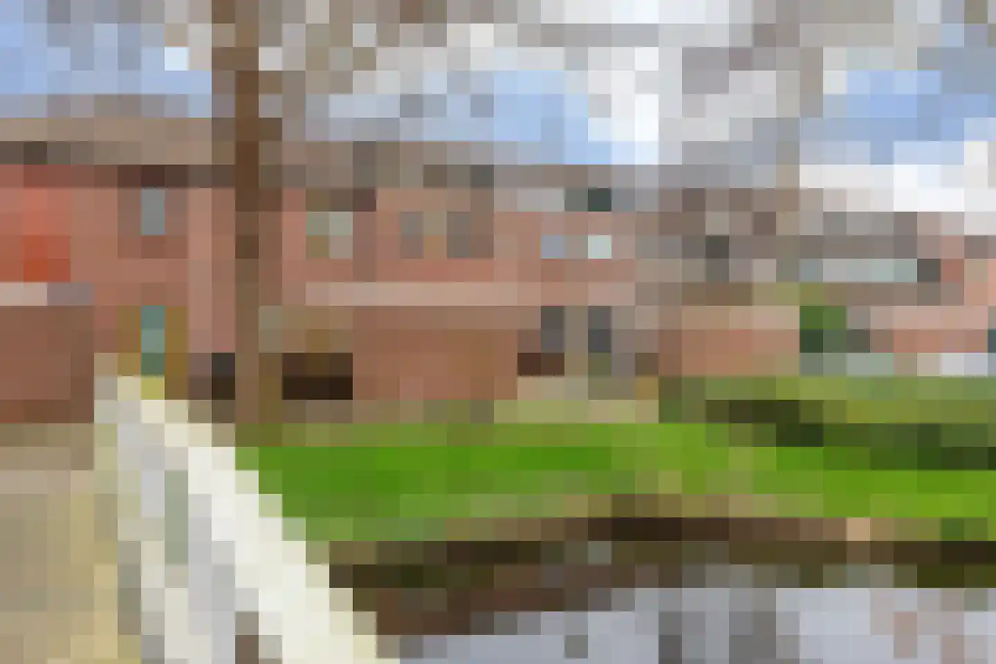 De Streep 54 Assendelft thumbnail 45
