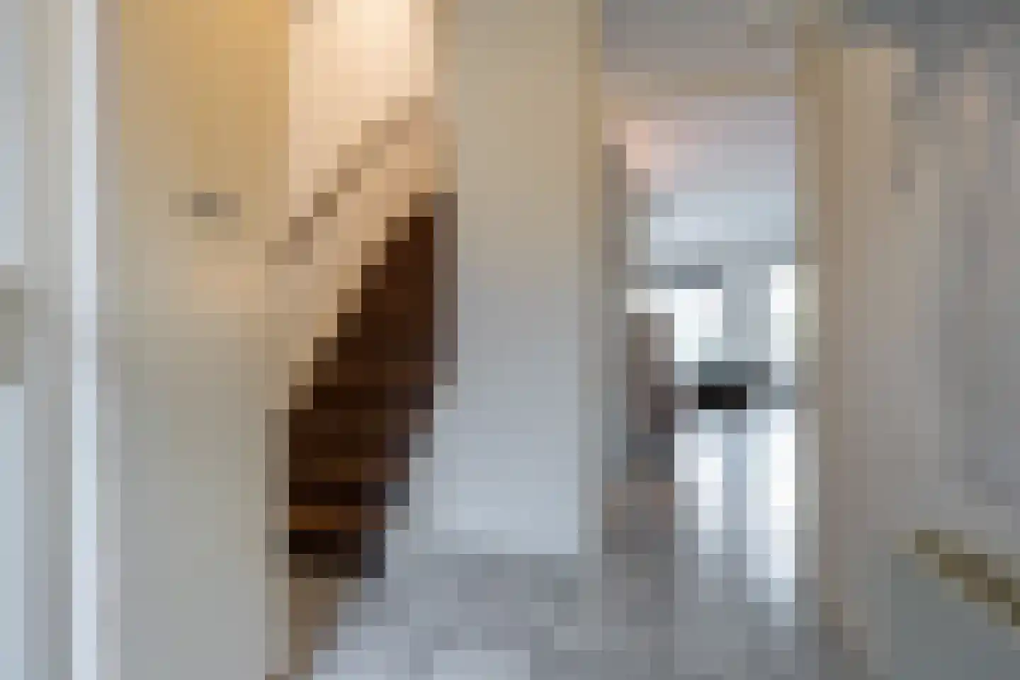De Streep 54 Assendelft thumbnail 8