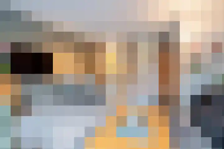 De Streep 54 Assendelft thumbnail 9