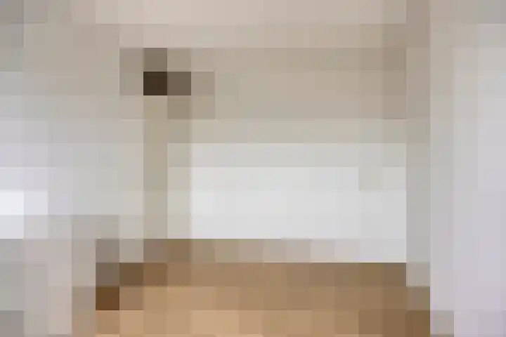 De Streepen 9 Heeswijk-Dinther thumbnail 32