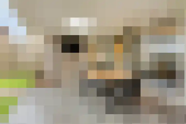 De Streepen 9 Heeswijk-Dinther thumbnail 41