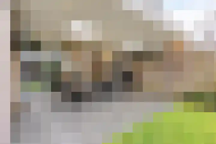 De Streepen 9 Heeswijk-Dinther thumbnail 42