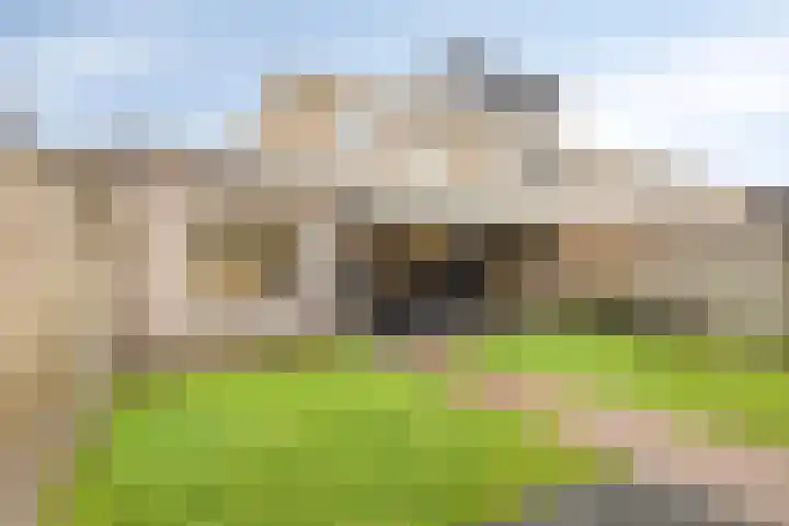 De Streepen 9 Heeswijk-Dinther thumbnail 43