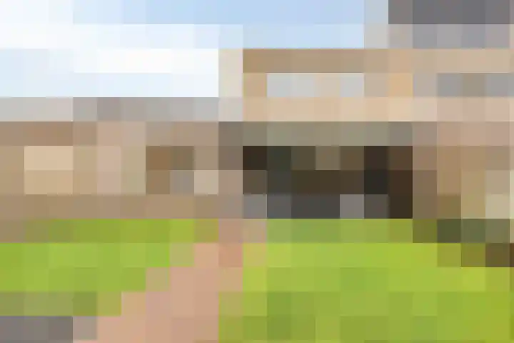 De Streepen 9 Heeswijk-Dinther thumbnail 44