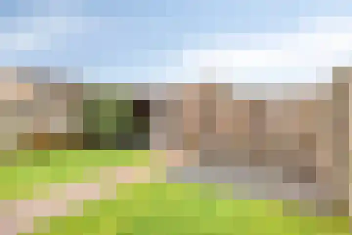 De Streepen 9 Heeswijk-Dinther thumbnail 46
