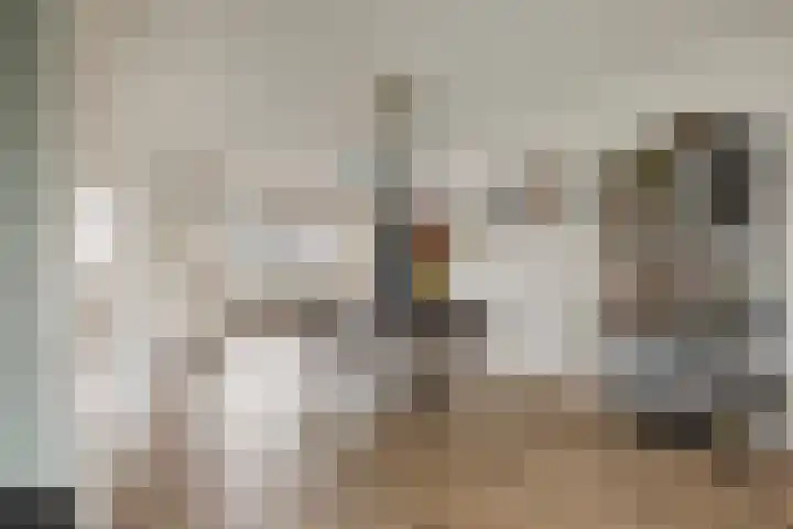 De Streepen 9 Heeswijk-Dinther thumbnail 9