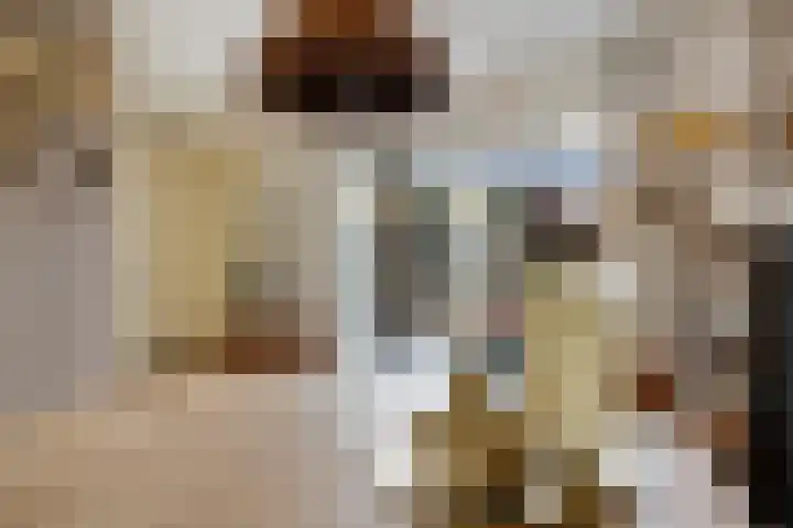 De strekel 13 Steenwijk thumbnail 11