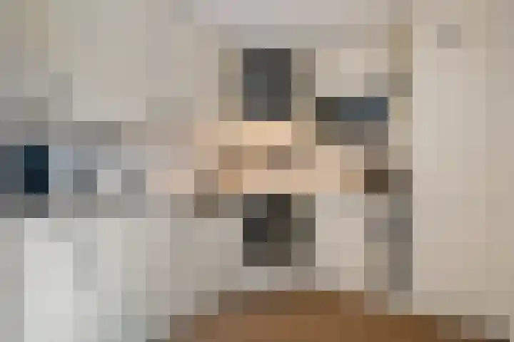 De strekel 13 Steenwijk thumbnail 14