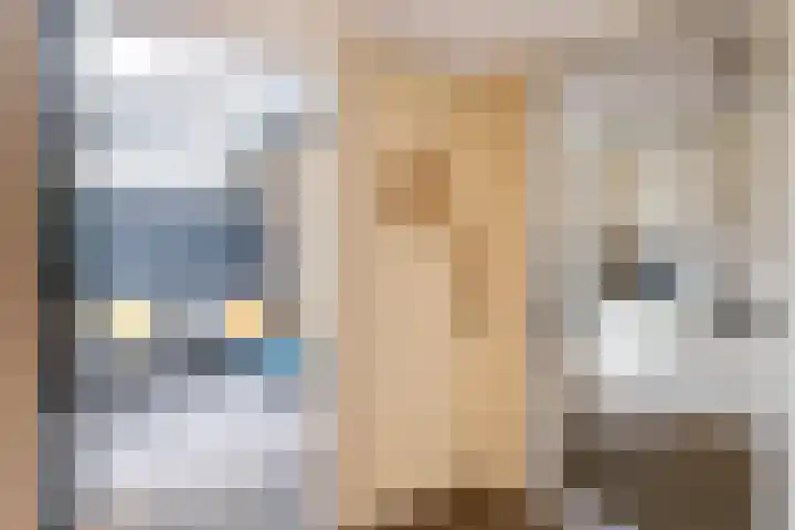 De strekel 13 Steenwijk thumbnail 16