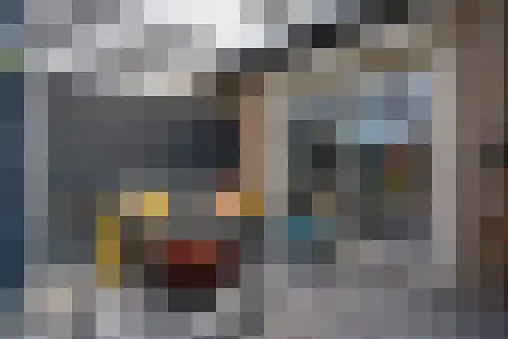 De strekel 13 Steenwijk thumbnail 17