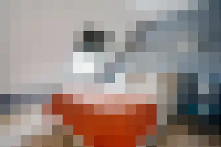 De strekel 13 Steenwijk thumbnail 20