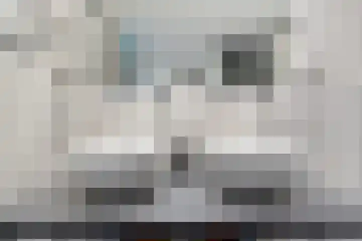 De strekel 13 Steenwijk thumbnail 23