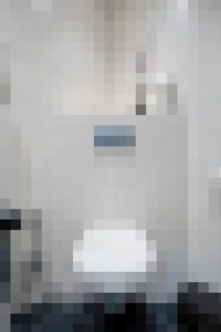 De strekel 13 Steenwijk thumbnail 25