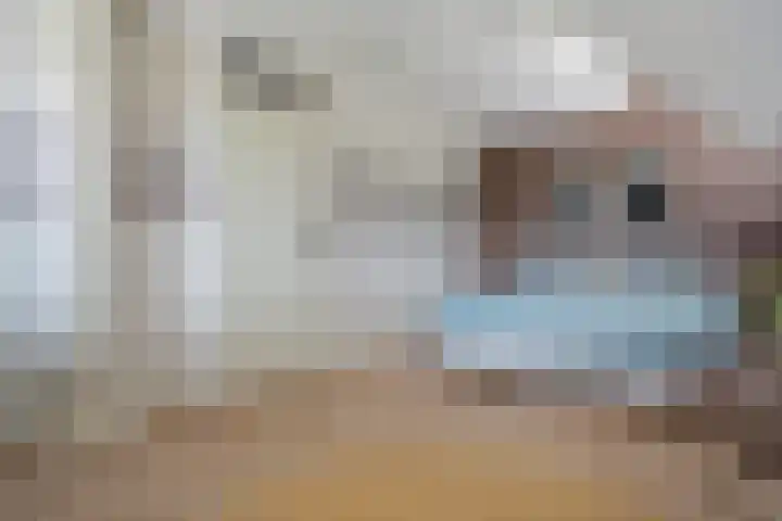 De strekel 13 Steenwijk thumbnail 27