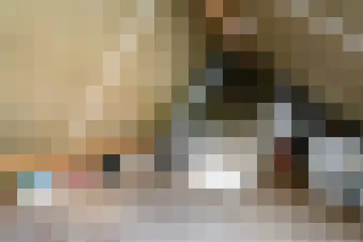 De strekel 13 Steenwijk thumbnail 31