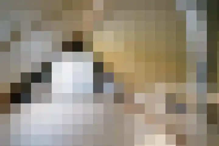 De strekel 13 Steenwijk thumbnail 32