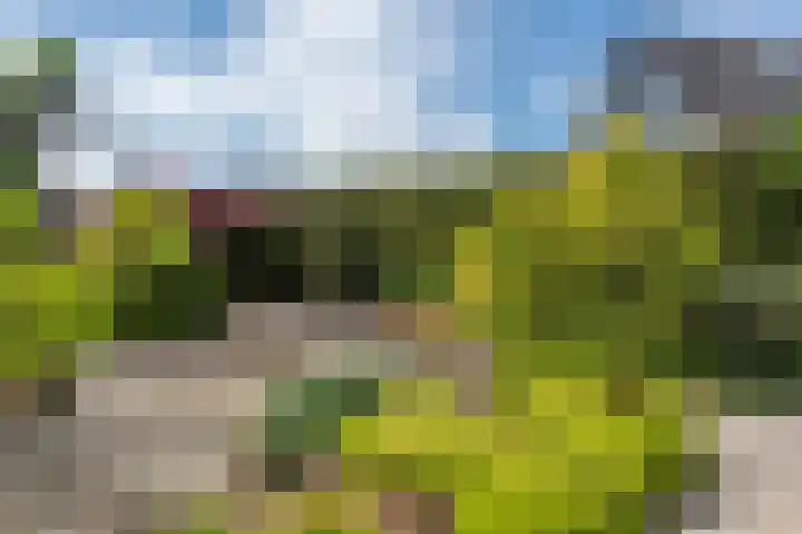 De strekel 13 Steenwijk thumbnail 33
