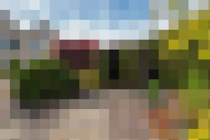 De strekel 13 Steenwijk thumbnail 34