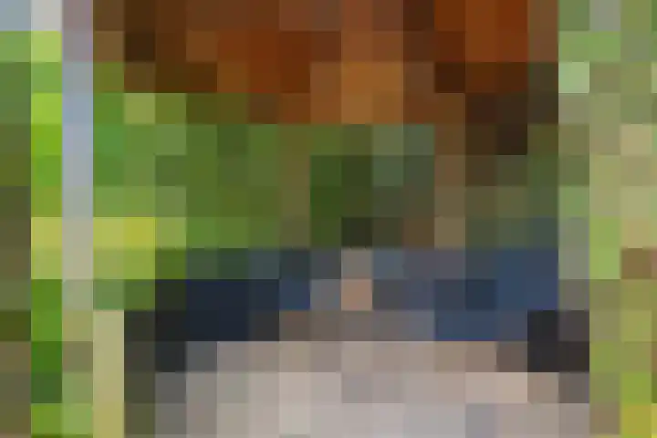 De strekel 13 Steenwijk thumbnail 35