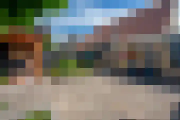 De strekel 13 Steenwijk thumbnail 36