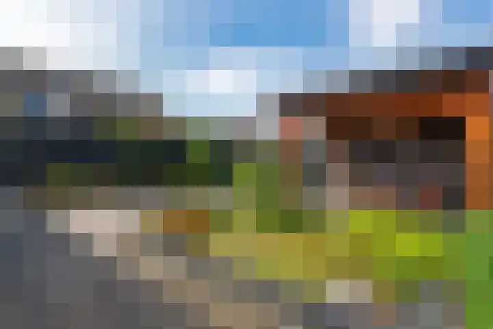 De strekel 13 Steenwijk thumbnail 37