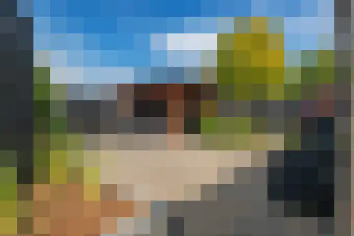 De strekel 13 Steenwijk thumbnail 38