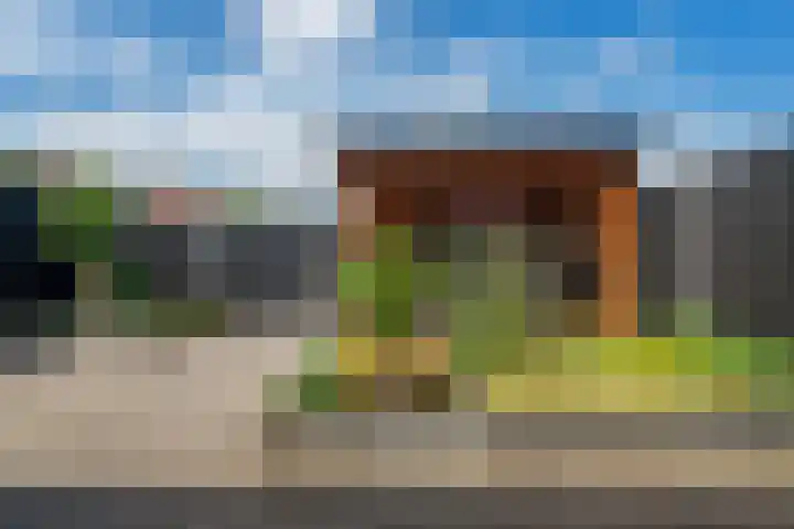 De strekel 13 Steenwijk thumbnail 39