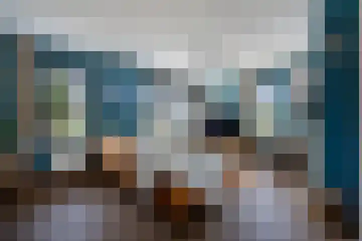 De strekel 13 Steenwijk thumbnail 4
