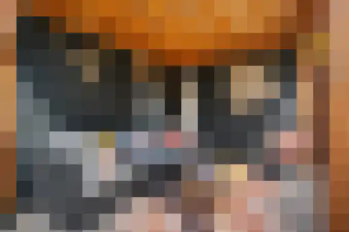 De strekel 13 Steenwijk thumbnail 40
