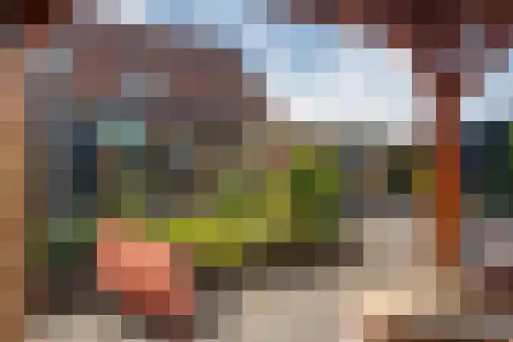 De strekel 13 Steenwijk thumbnail 41