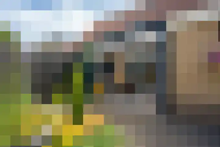 De strekel 13 Steenwijk thumbnail 42