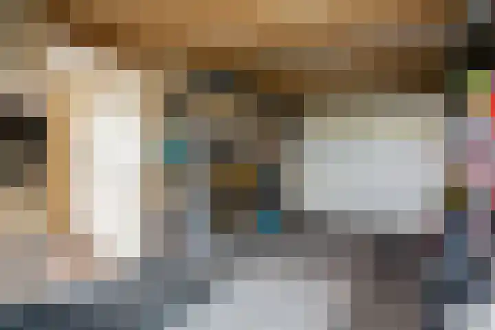 De strekel 13 Steenwijk thumbnail 44