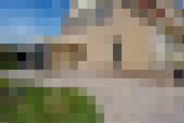 De strekel 13 Steenwijk thumbnail 47