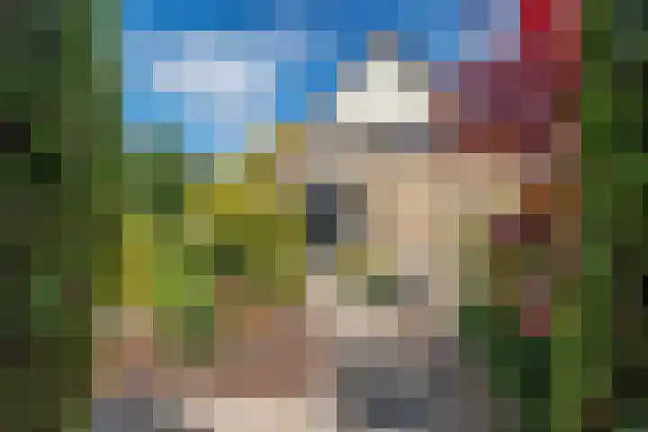 De strekel 13 Steenwijk thumbnail 49