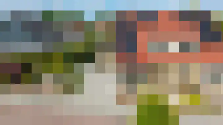 De strekel 13 Steenwijk thumbnail 50